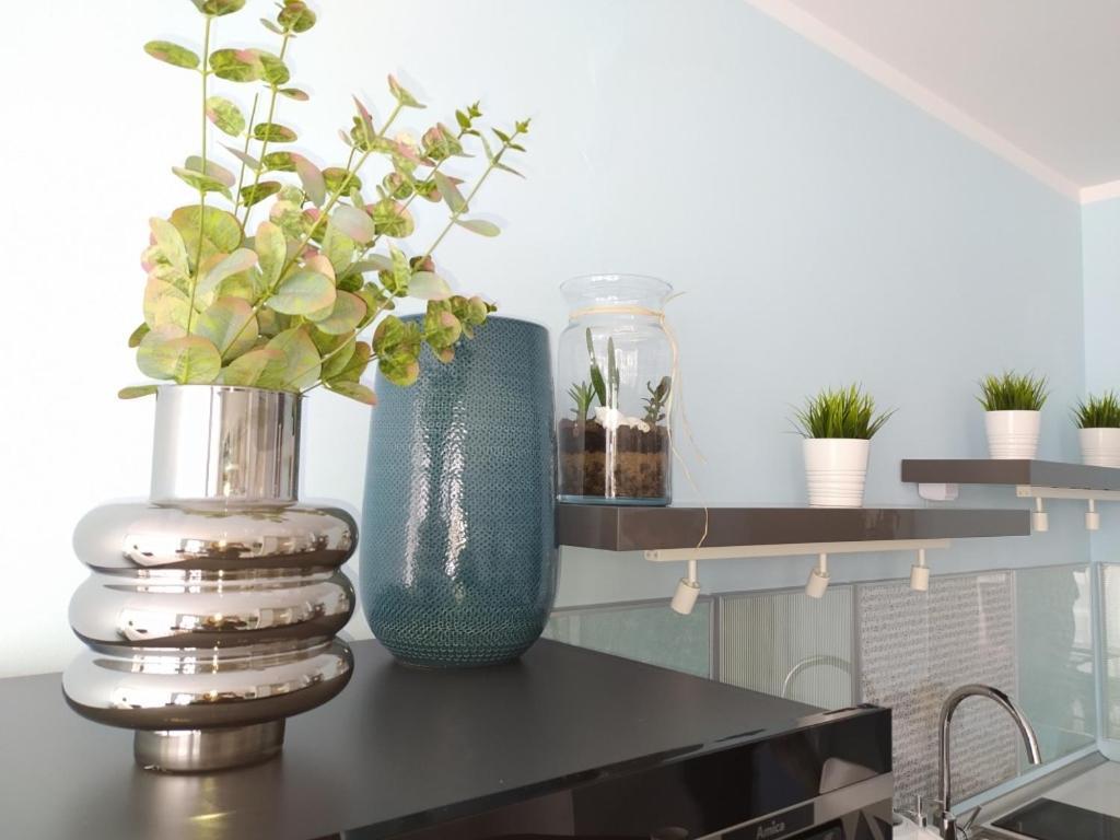Apartament Sloneczna Przystan 科沃布热格 外观 照片